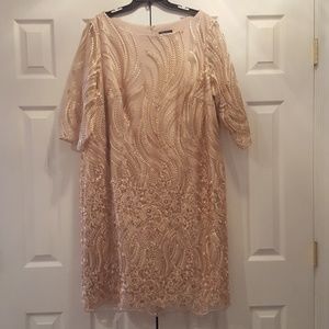 Brianna Plus Champagne Embroidered Sequin Dress